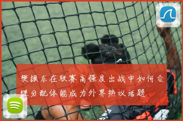 樊振东在联赛高强度出战中如何合理分配体能成为外界热议话题